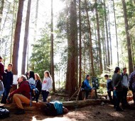 Capilano University Students in forest